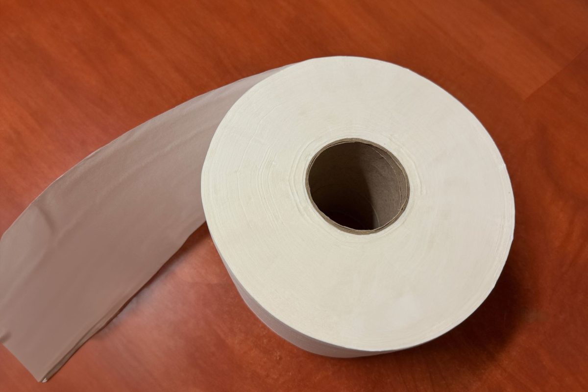 Large,Roll,Paper,Towel,Isolated,On,Wooden,Background.,Large,,Moving,